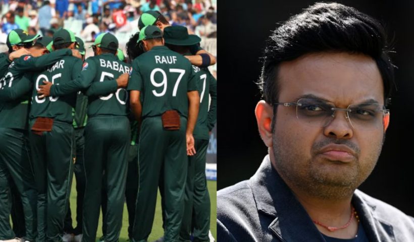 sikandar-raza-will-earn-crores-in-the-auction