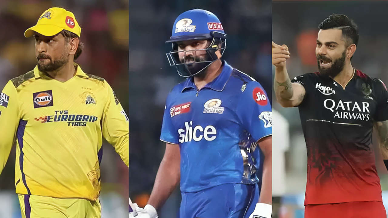 IPL 2025 Playoffs Chances